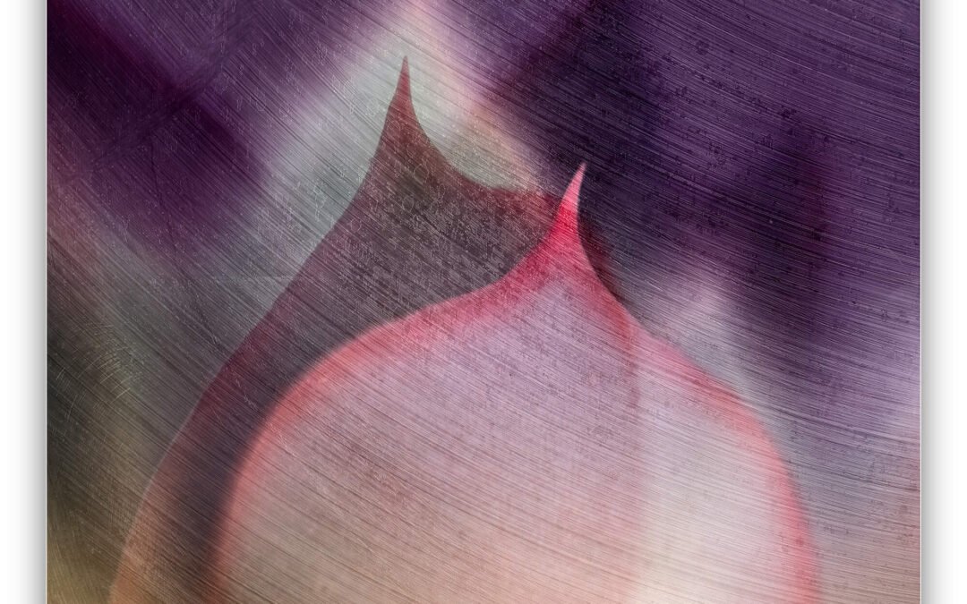 The Art of Seeing Differently: Stan Farrow’s Journey into Abstract Photography