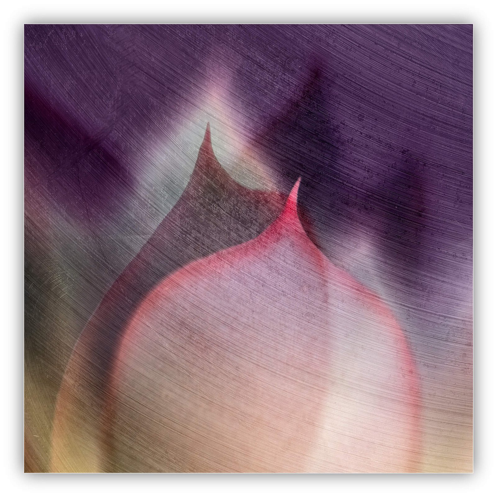 The Art of Seeing Differently: Stan Farrow’s Journey into Abstract Photography