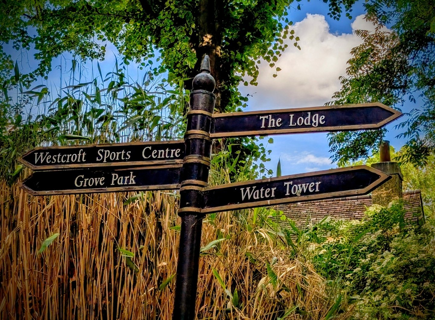 Summer Scavenger Hunt